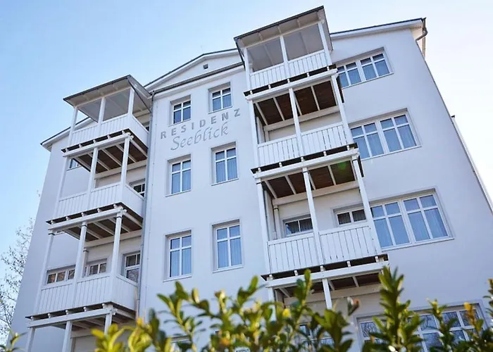 Shelter Comfortable *